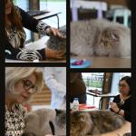 Capture d’écran 2026-03-06 à 15.06.36